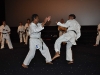Demo-cinema-Pathe-Evreux-Karate-Kid-12-aout-2010-069