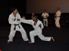 Demo-cinema-Pathe-Evreux-Karate-Kid-12-aout-2010-082